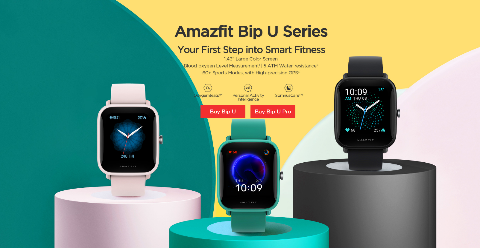 amaz bip 2